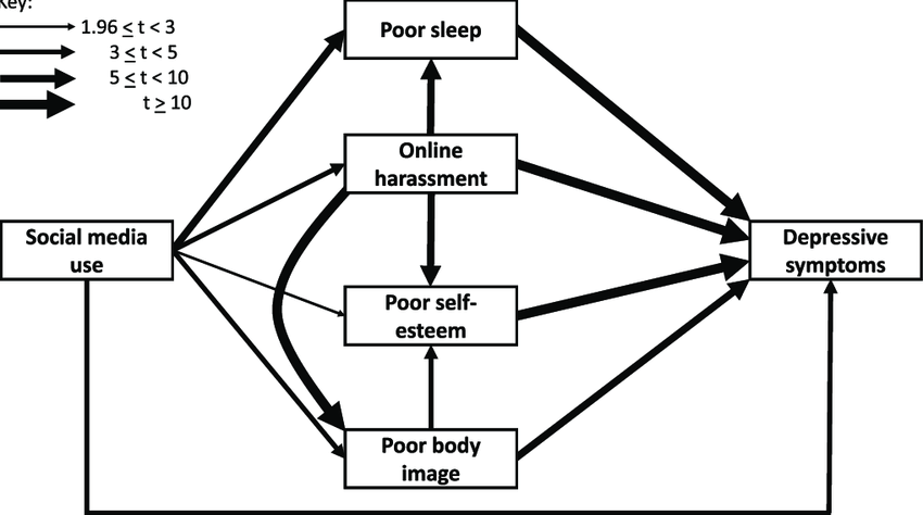 Bild 2: Social media use and depressive symptoms-summary of path analysis.